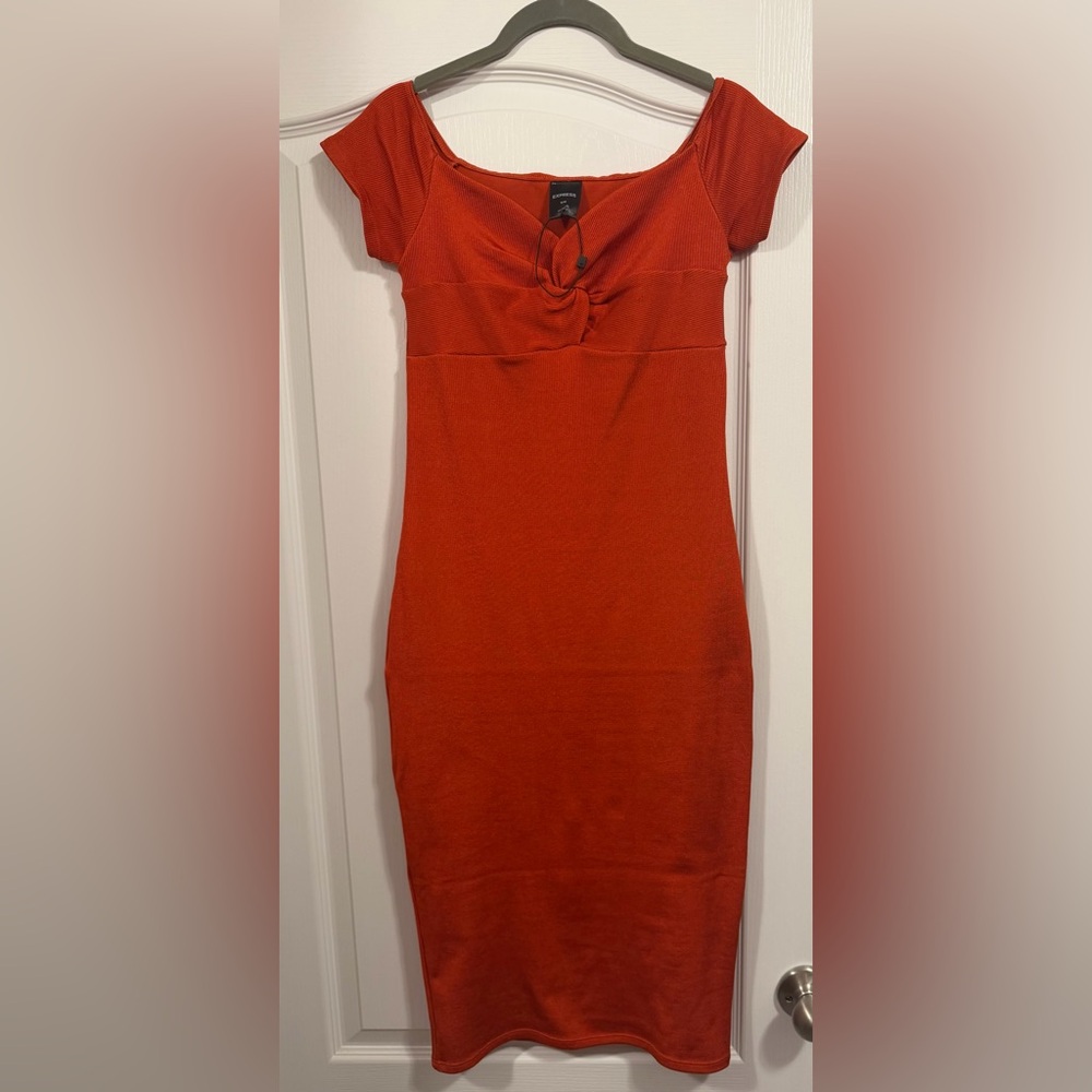 Express Strapless Rust Dress - Picture 2 of 4